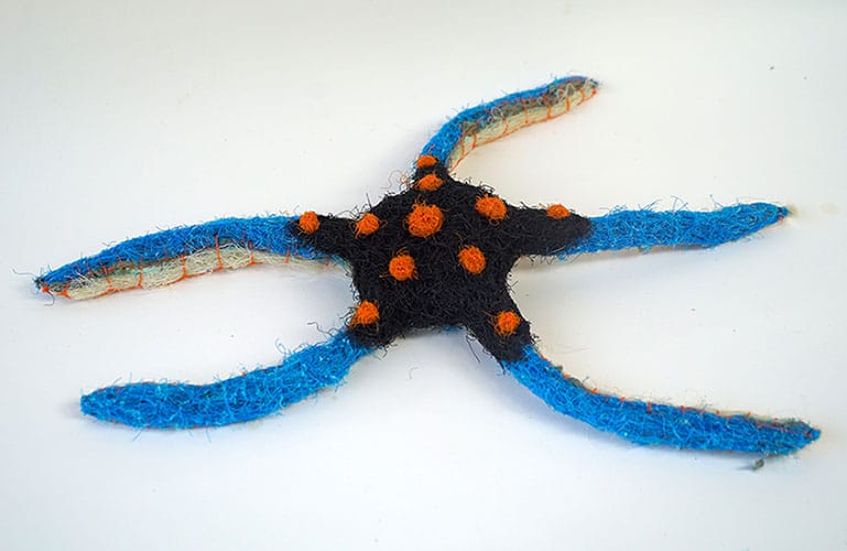 Starfish (18-73)