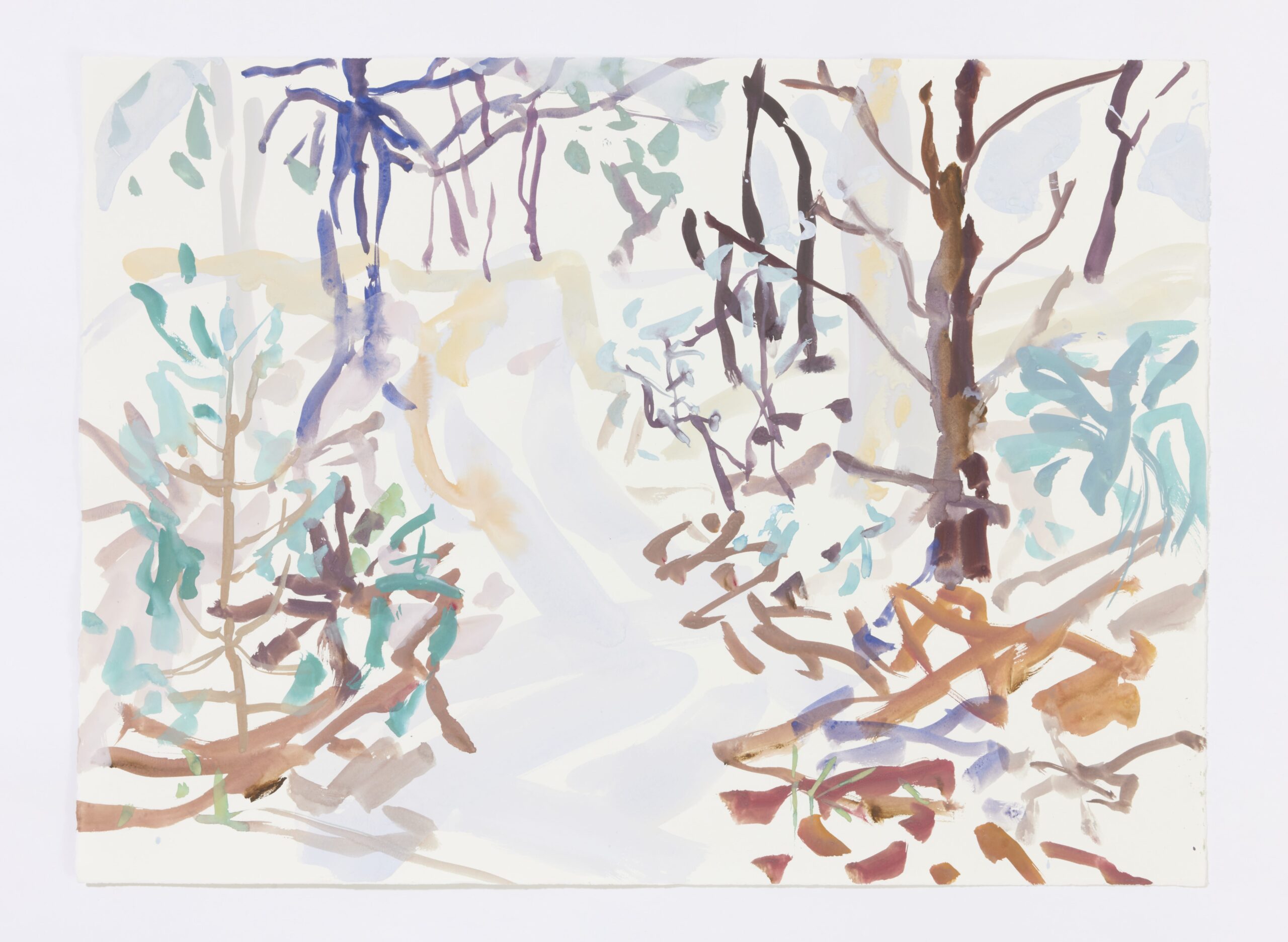 The process was going to a place, Yuin Country