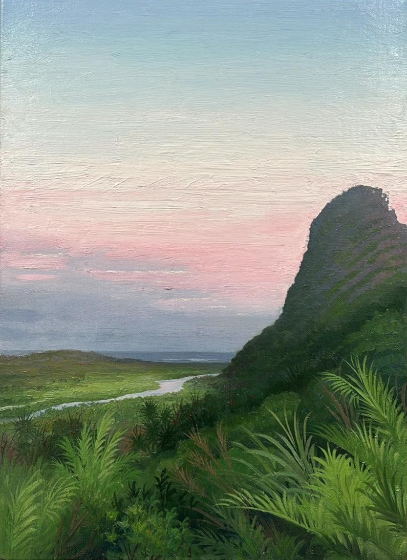 Road to Karekare No. 4