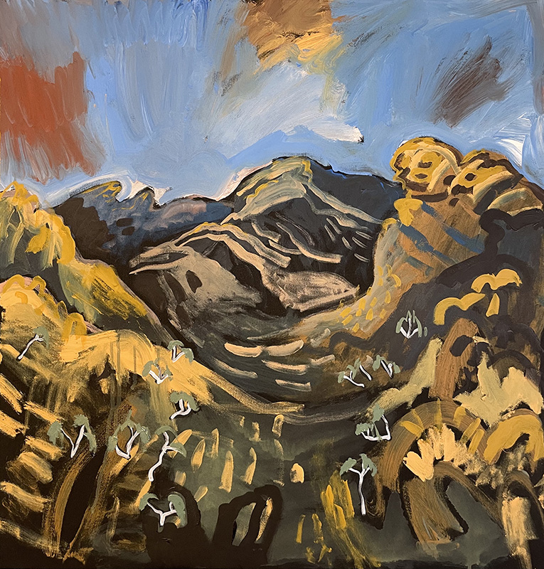 Before descending into Kwartatuma, West MacDonnell Ranges