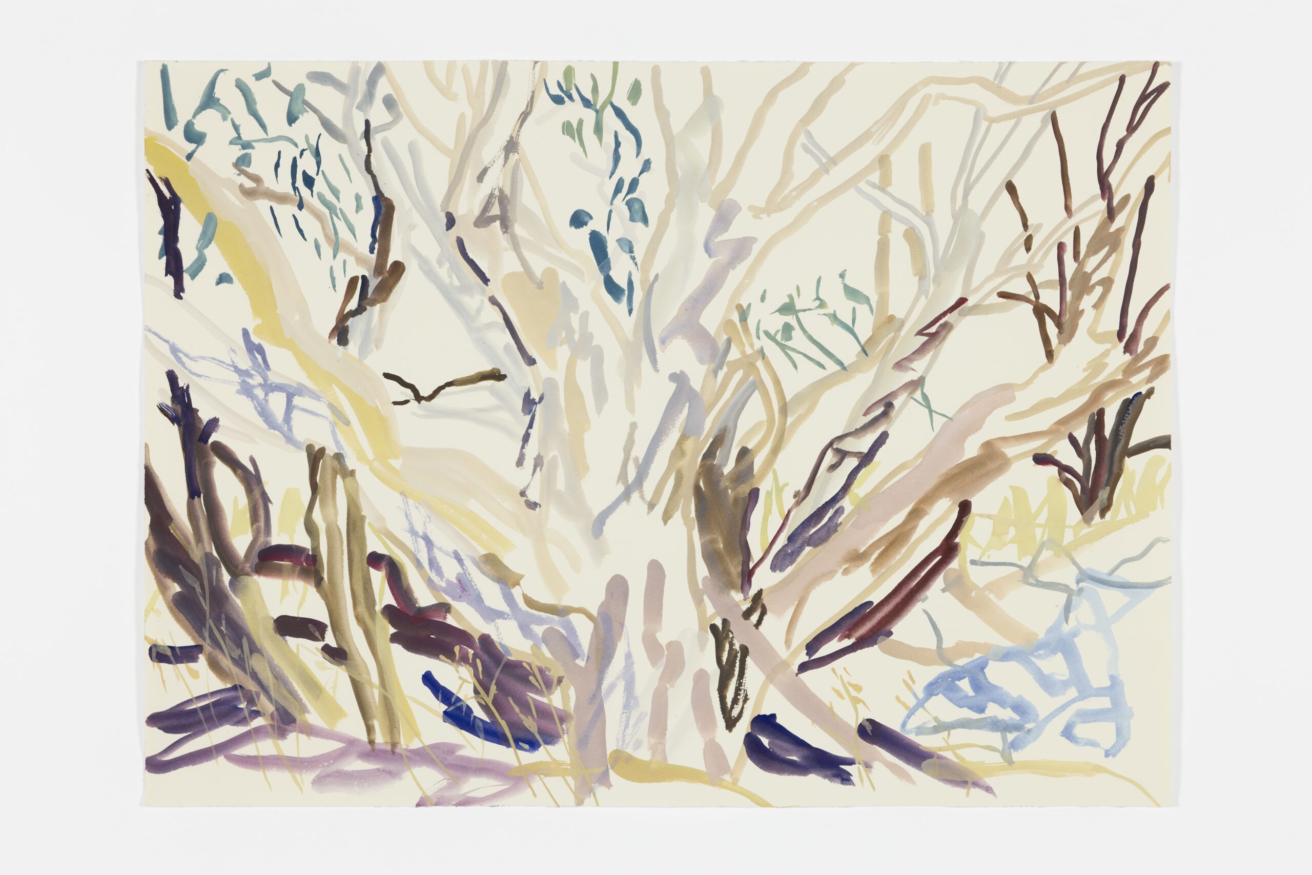 To rest suspended (A tree) (Study)