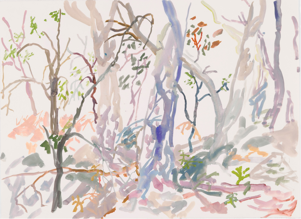 Colours change when held study