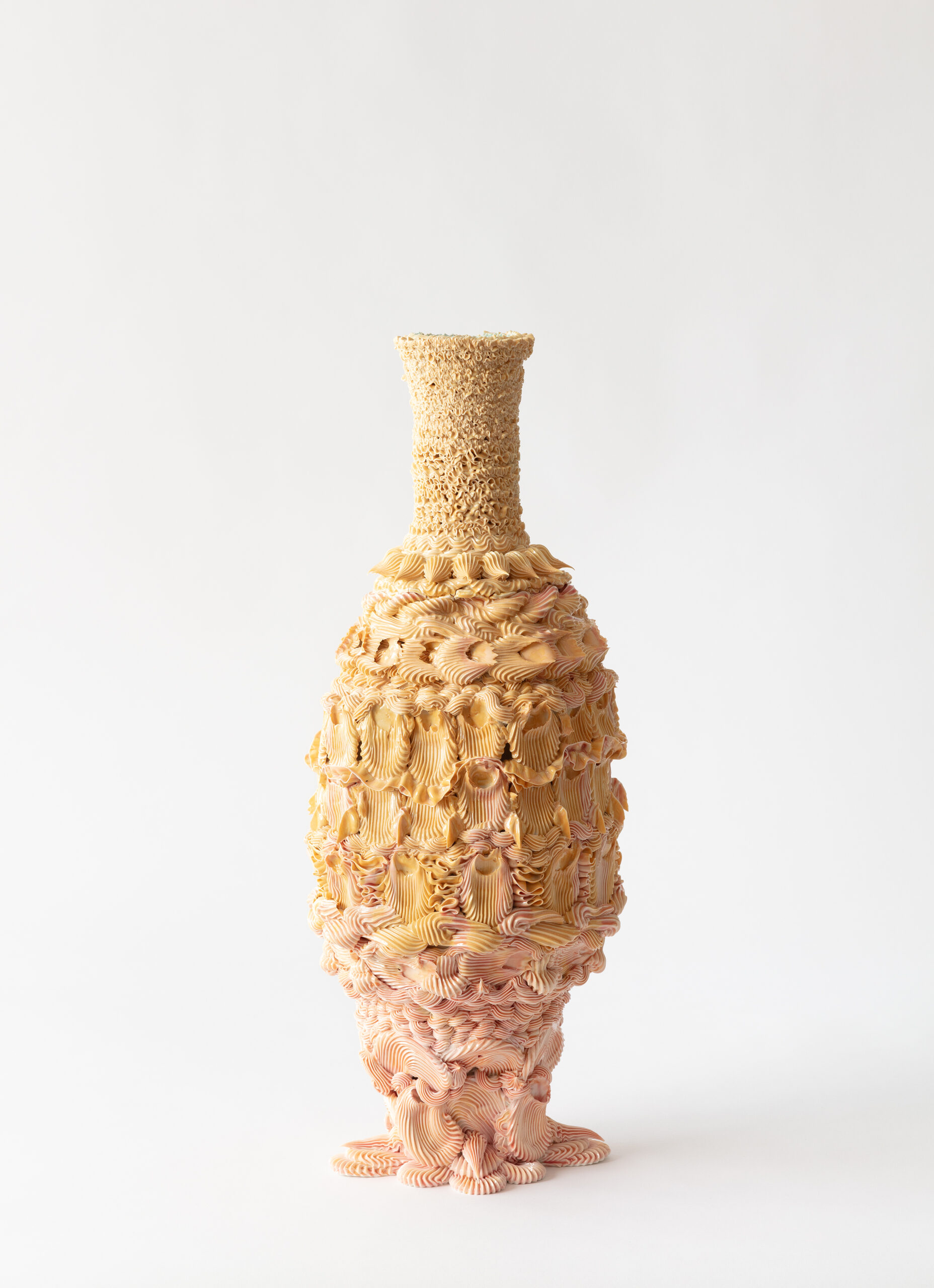 Divinity Urn: Circe’s empty conch